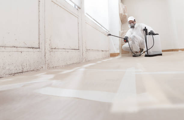 24/7 Emergency Commercial Mold Remediation experts in Wauconda, IL